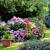 Pleasant Hill Garden Design by Greatway Environmental & Sully & Sons